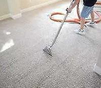 Carpet Cleaning Sunshine Coast image 8